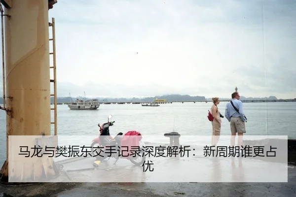 马龙与樊振东交手记录深度解析：新周期谁更占优
