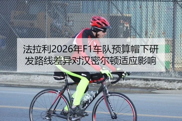 fa-la-li-nian-che-dui-yu-suan-mao-xia-yan-fa-lu-xian-cha-yi-dui-han-mi-er-dun-shi-ying-ying-xiang-2-426.jpg