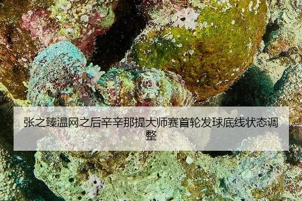 zhang-zhi-zhen-wen-wang-zhi-hou-xin-xin-na-ti-da-shi-sai-shou-lun-fa-qiu-di-xian-zhuang-tai-tiao-zheng-2-297.jpg
